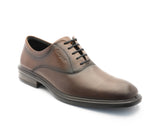 Sapato New Nobleman Castanho Camport confortável online